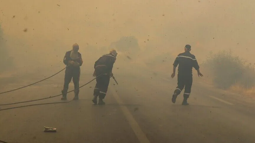 Algeria moves to impose death penalty for setting forest fires after 12 killed